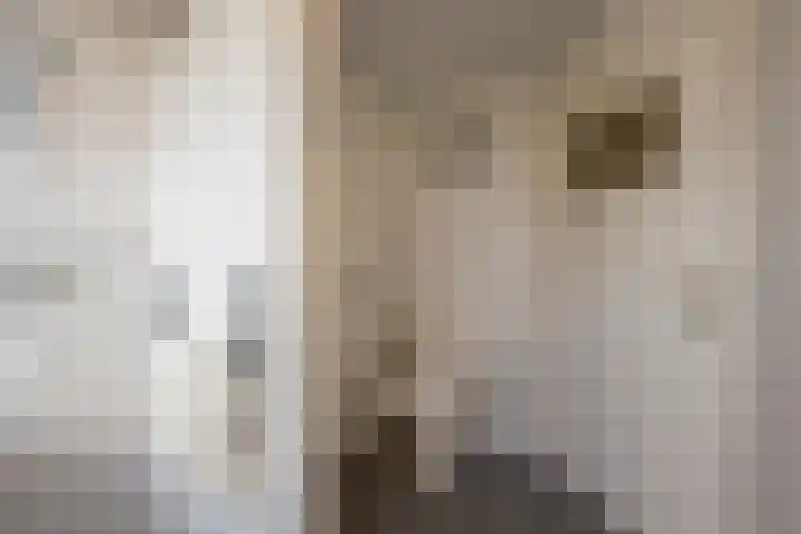 Havenstraat 4 Nijkerk thumbnail 24