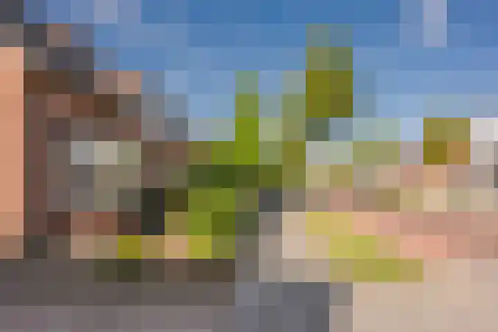 Havenstraat 4 Nijkerk thumbnail 34