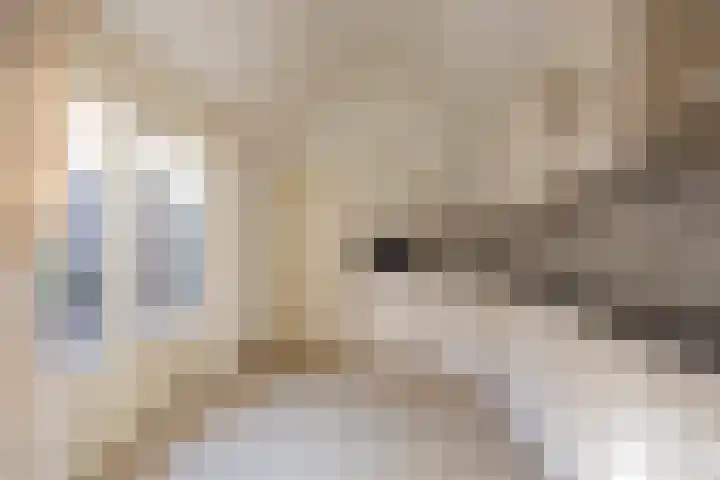 Havenstraat 4 Nijkerk thumbnail 7