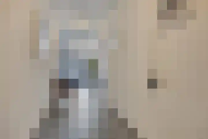 Havenstraat 40 M1 Noordwijkerhout thumbnail 8