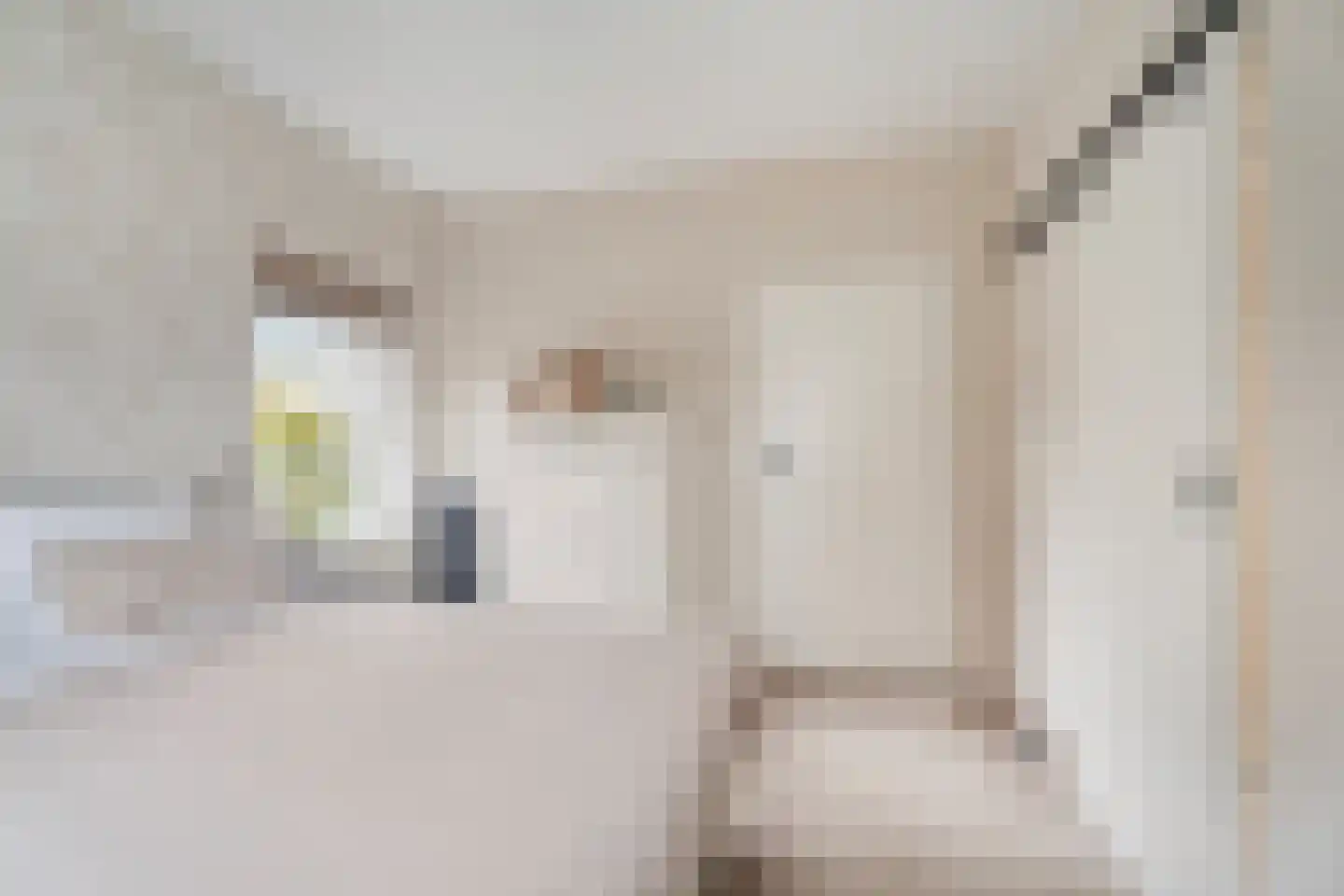 Havenstraat 43 Bunschoten-Spakenburg thumbnail 23