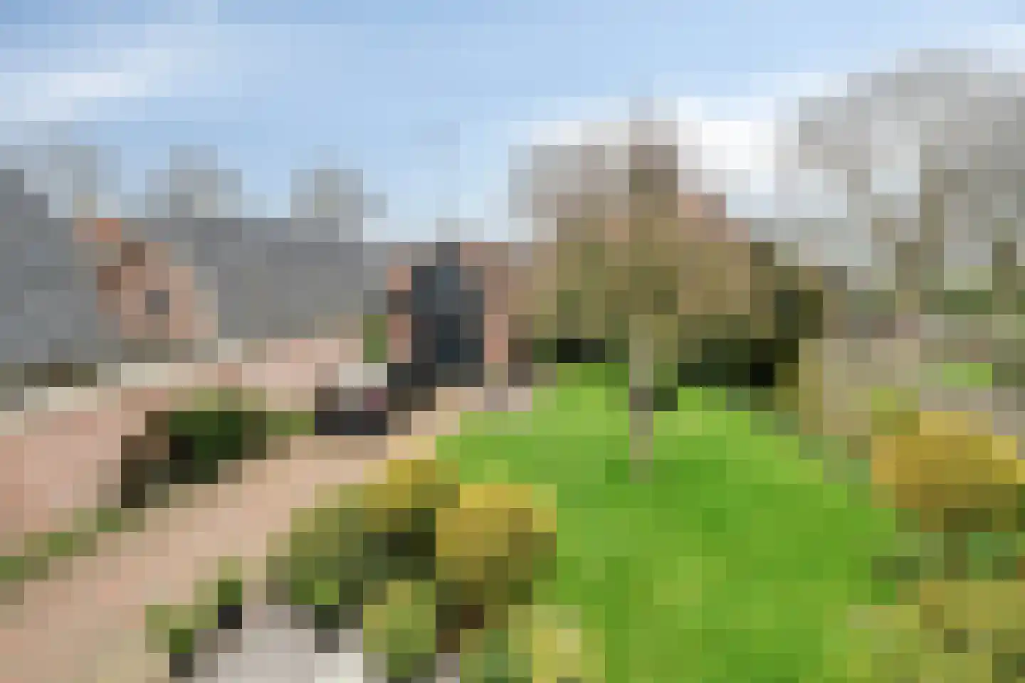 Havenstraat 43 Bunschoten-Spakenburg thumbnail 39