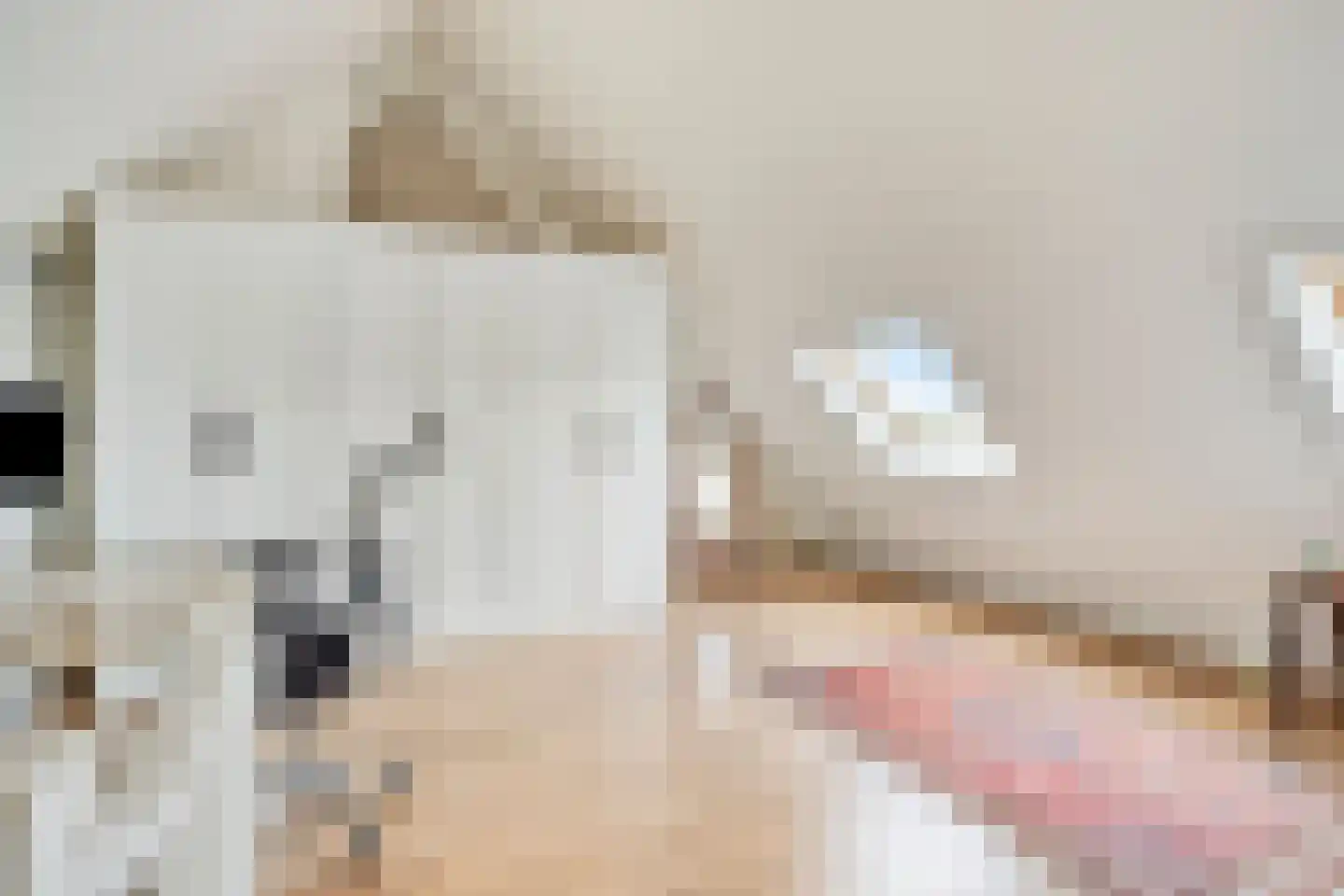 Havenstraat 48 Grave thumbnail 39