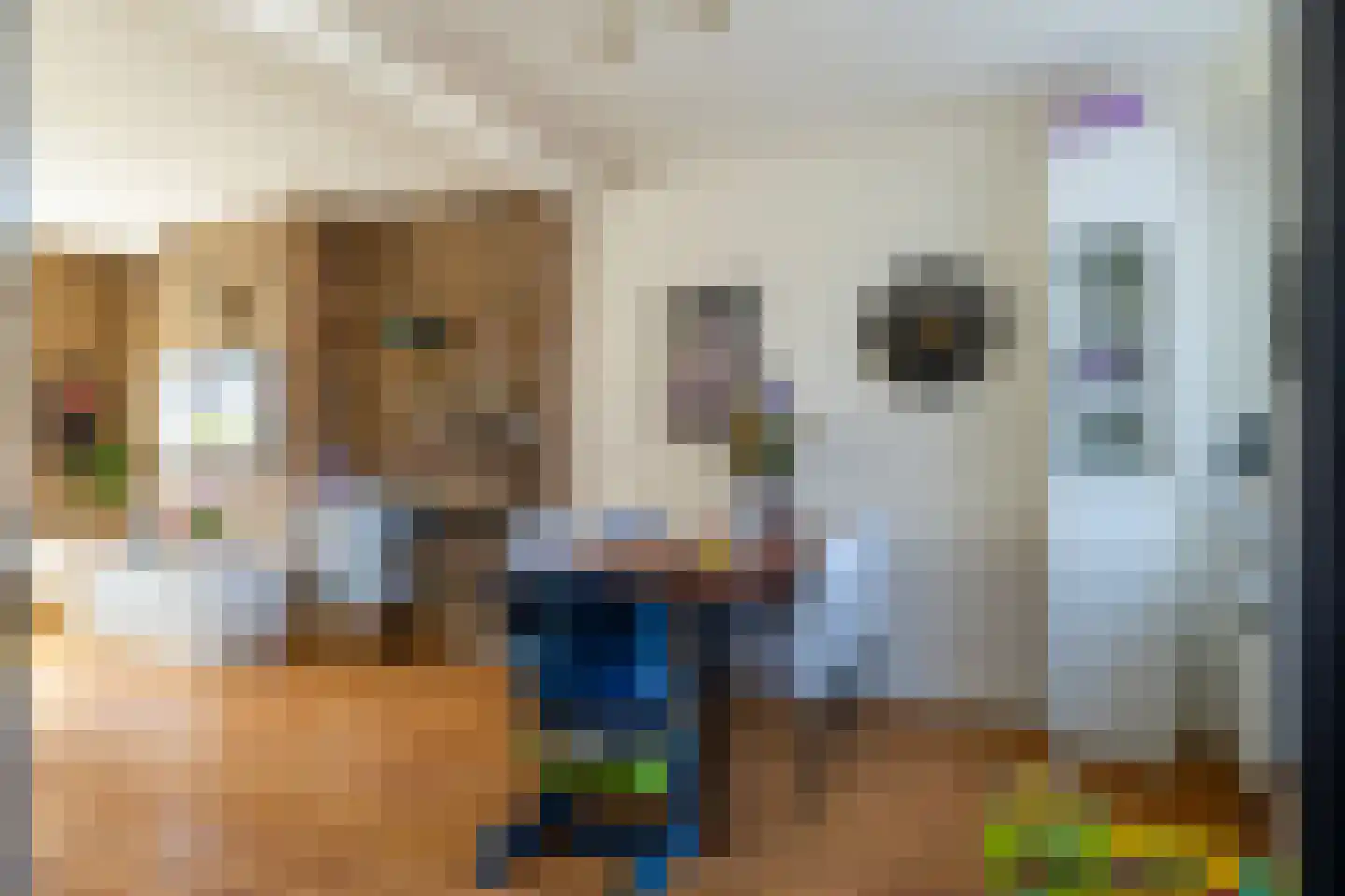 Havenstraat 48 Werkendam thumbnail 8
