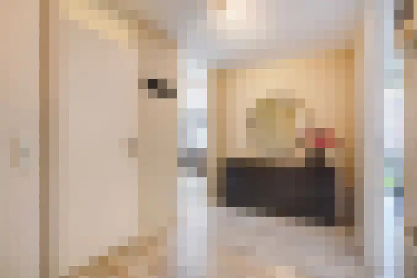 Havenstraat 5 C Monster thumbnail 28