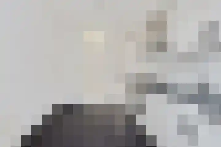 Havenstraat 52 Ter Apel thumbnail 15