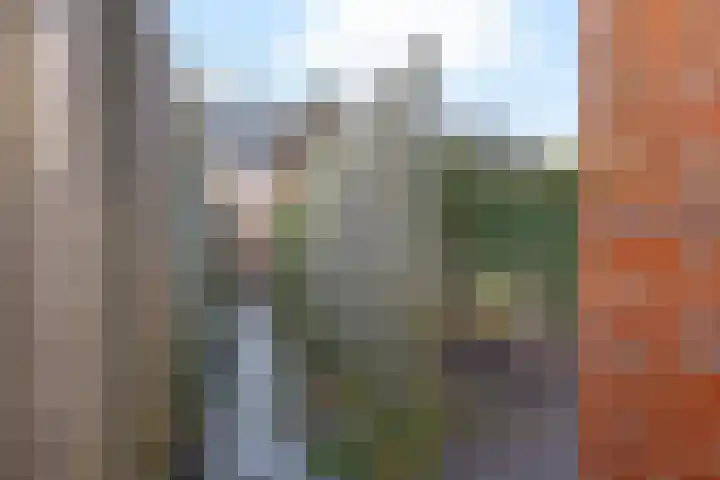 Havenstraat 52 Ter Apel thumbnail 42