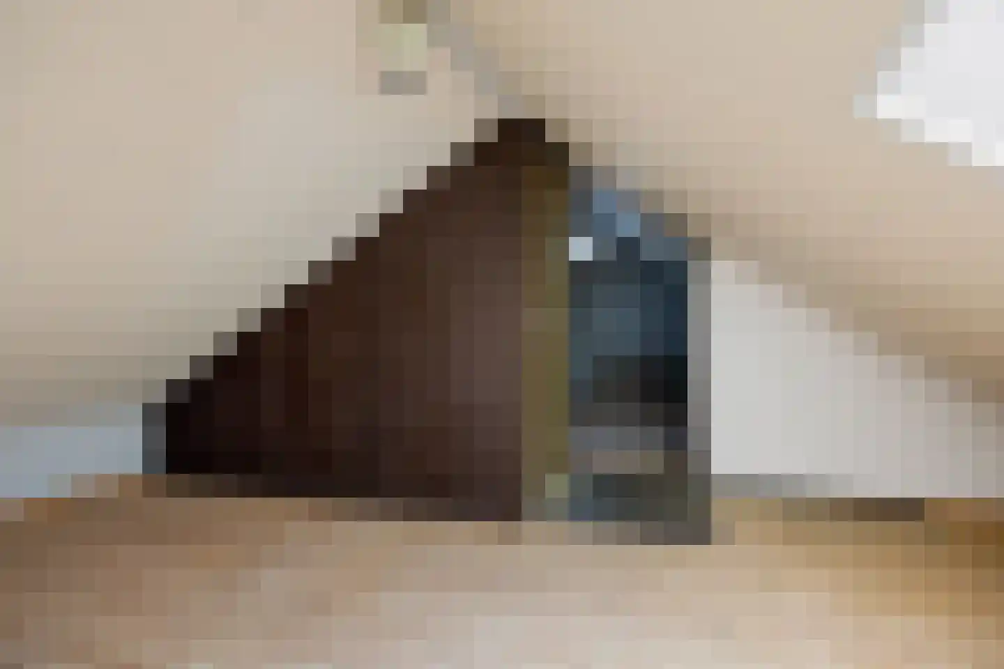 Havenstraat 59 Erica thumbnail 30