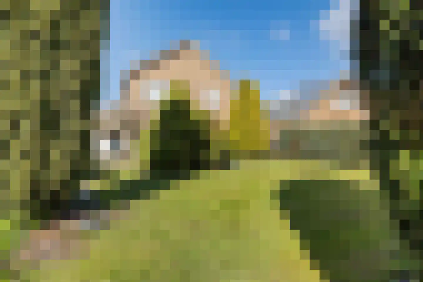 Havenstraat 59 Erica thumbnail 33