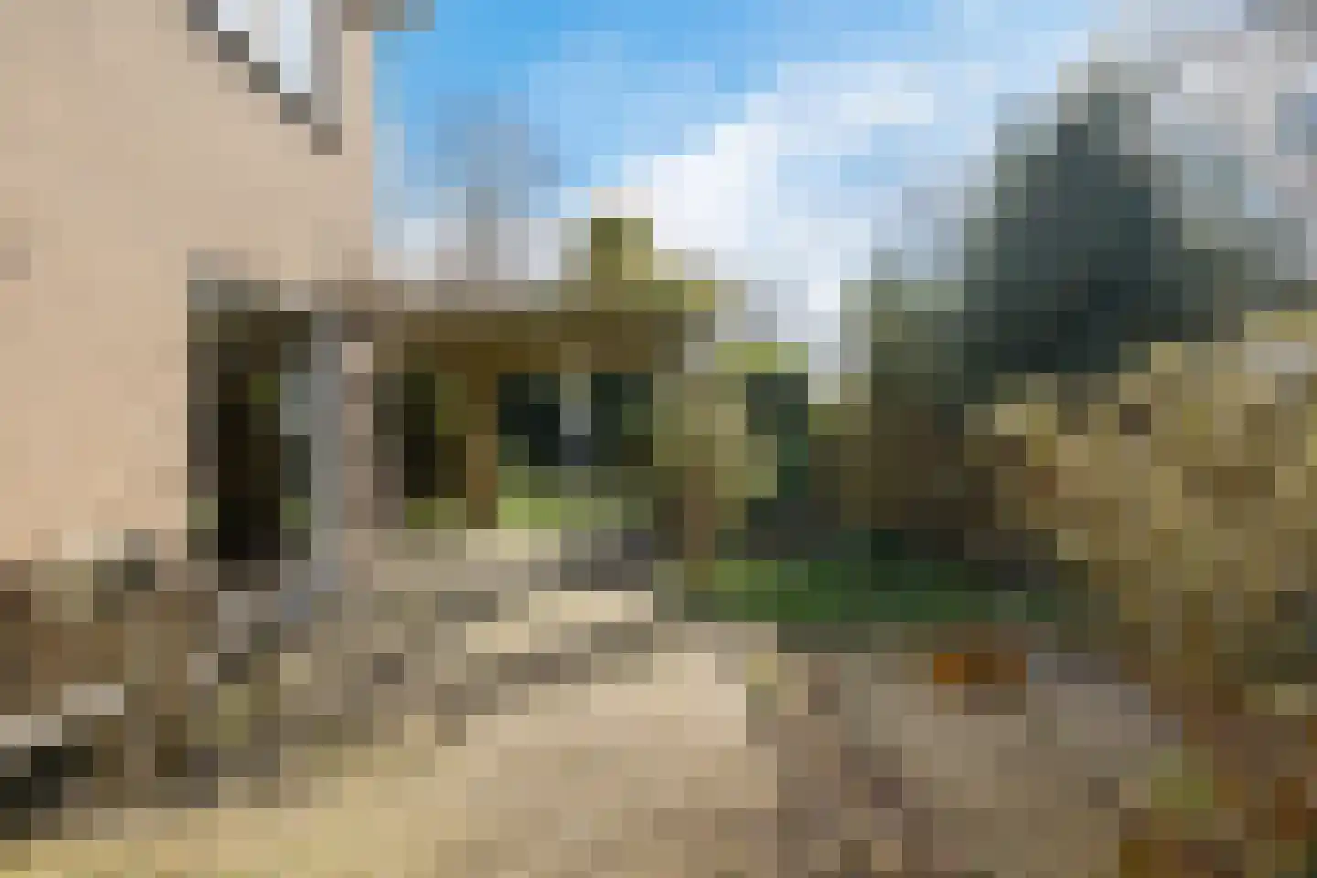Havenstraat 59 Erica thumbnail 35