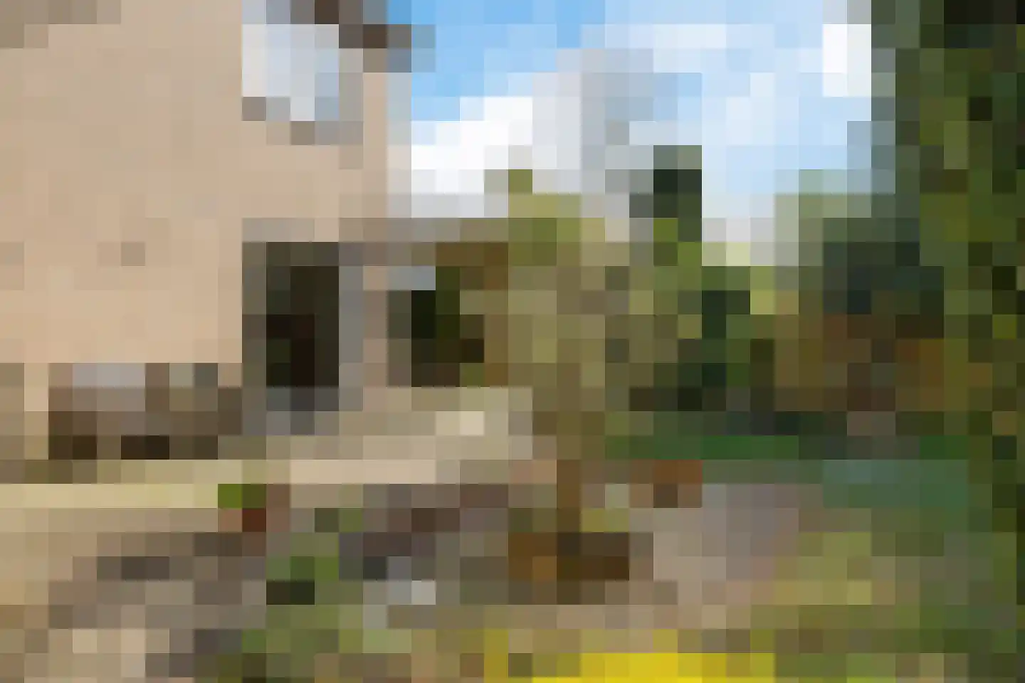 Havenstraat 59 Erica thumbnail 36