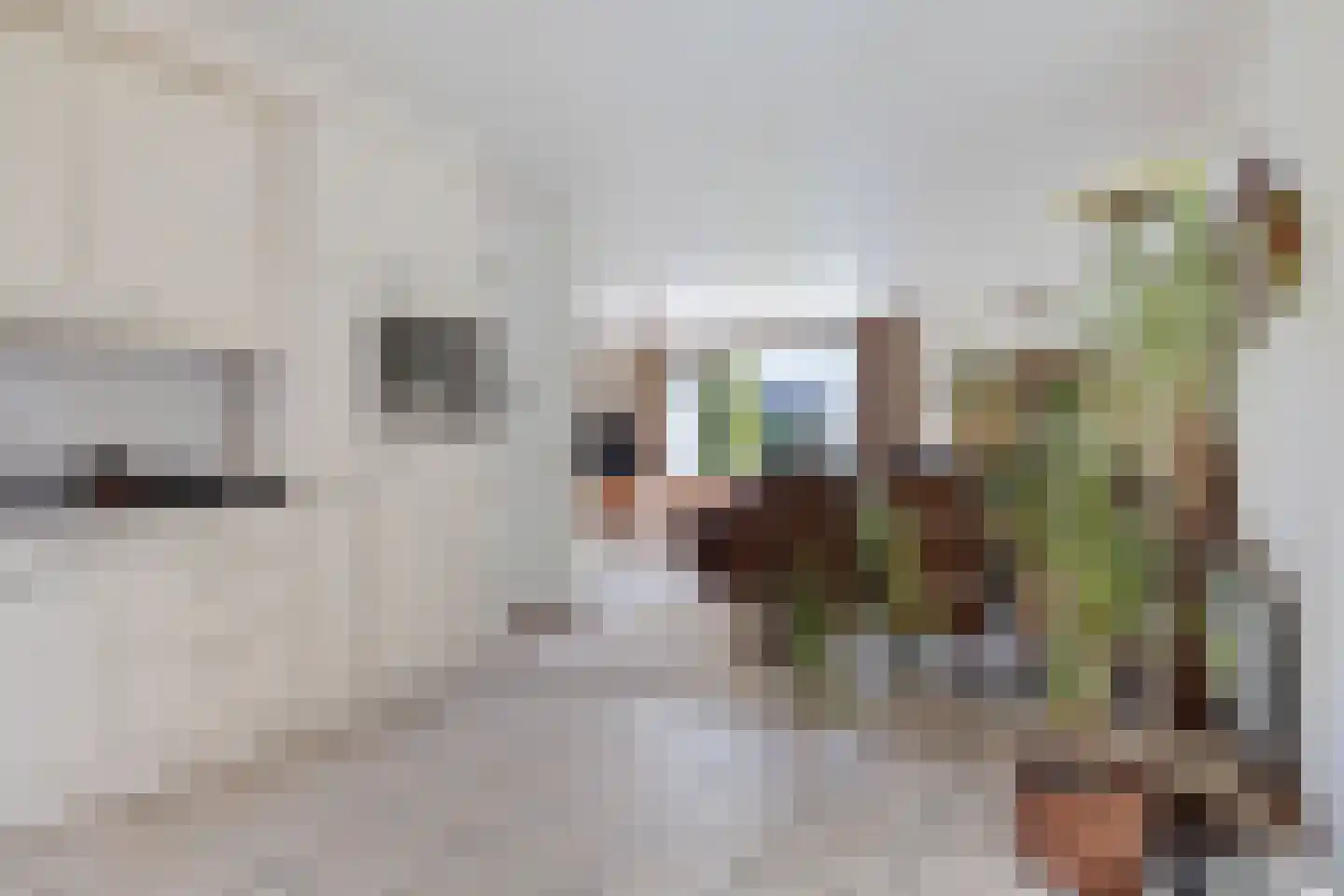 Havenstraat 59 Erica thumbnail 7