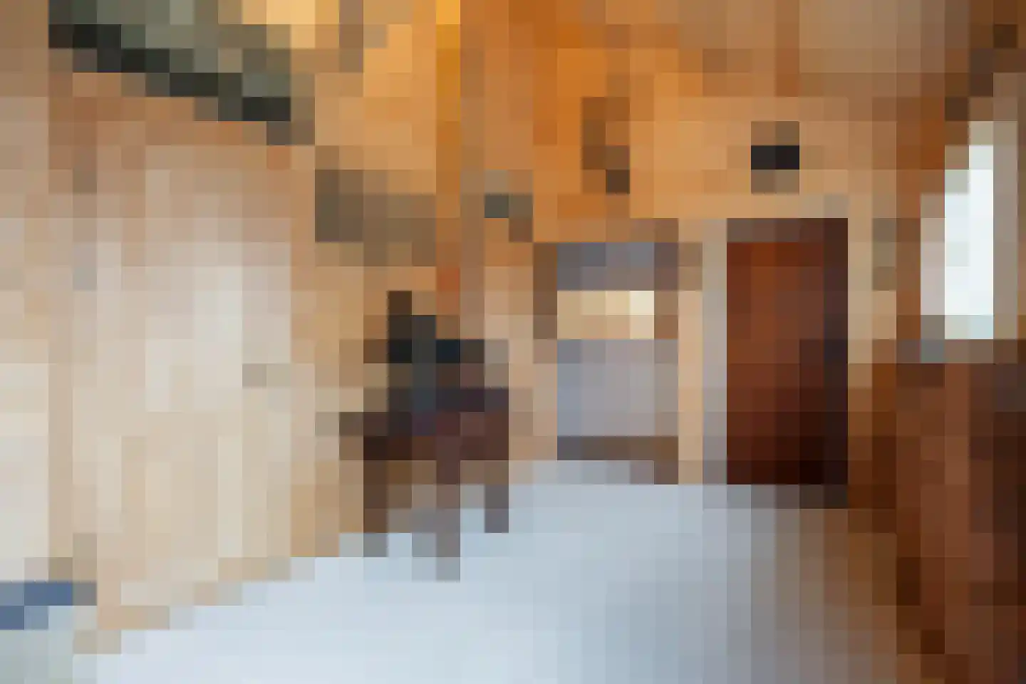 Havenstraat 6 Zoutkamp thumbnail 22