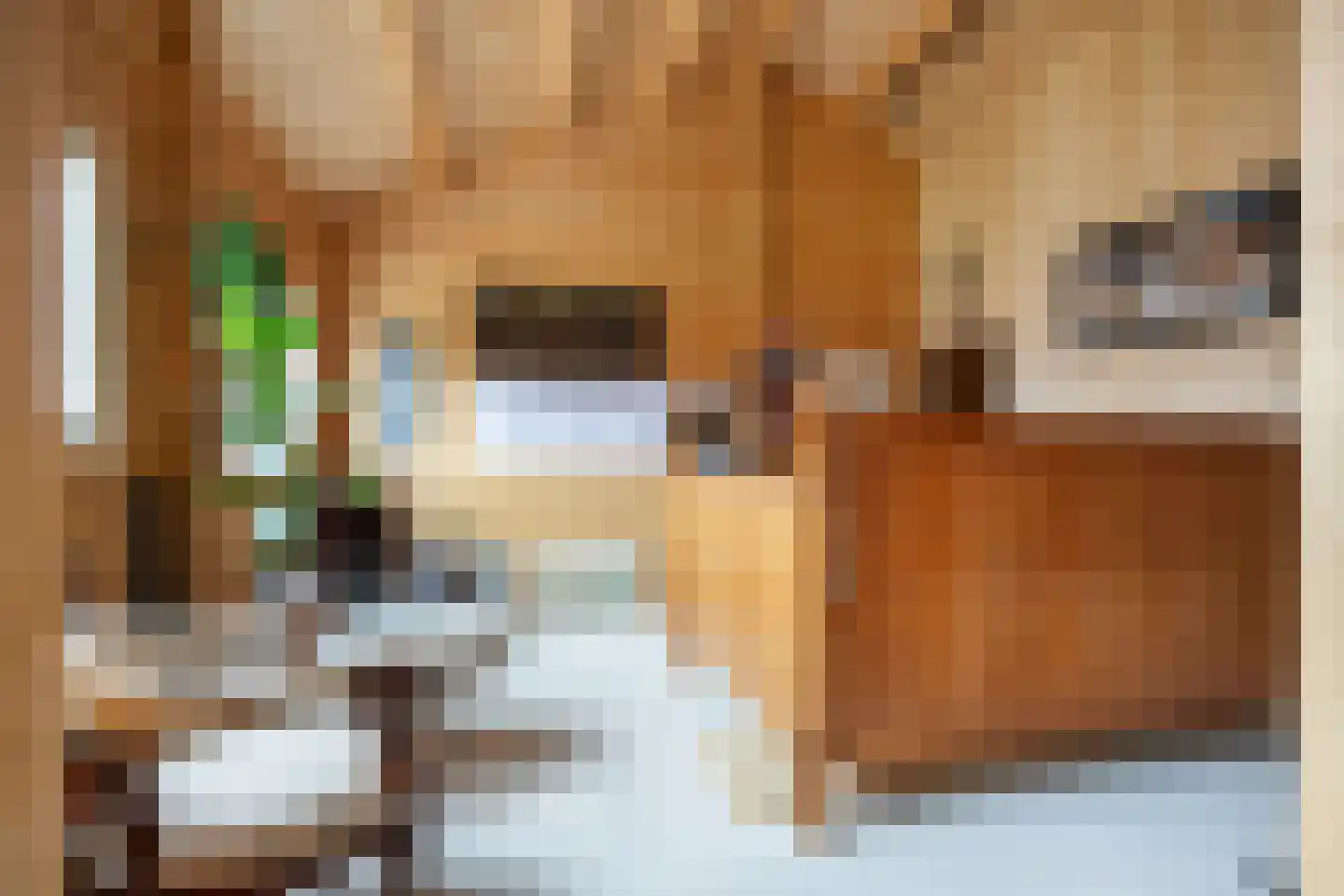 Havenstraat 6 Zoutkamp thumbnail 23