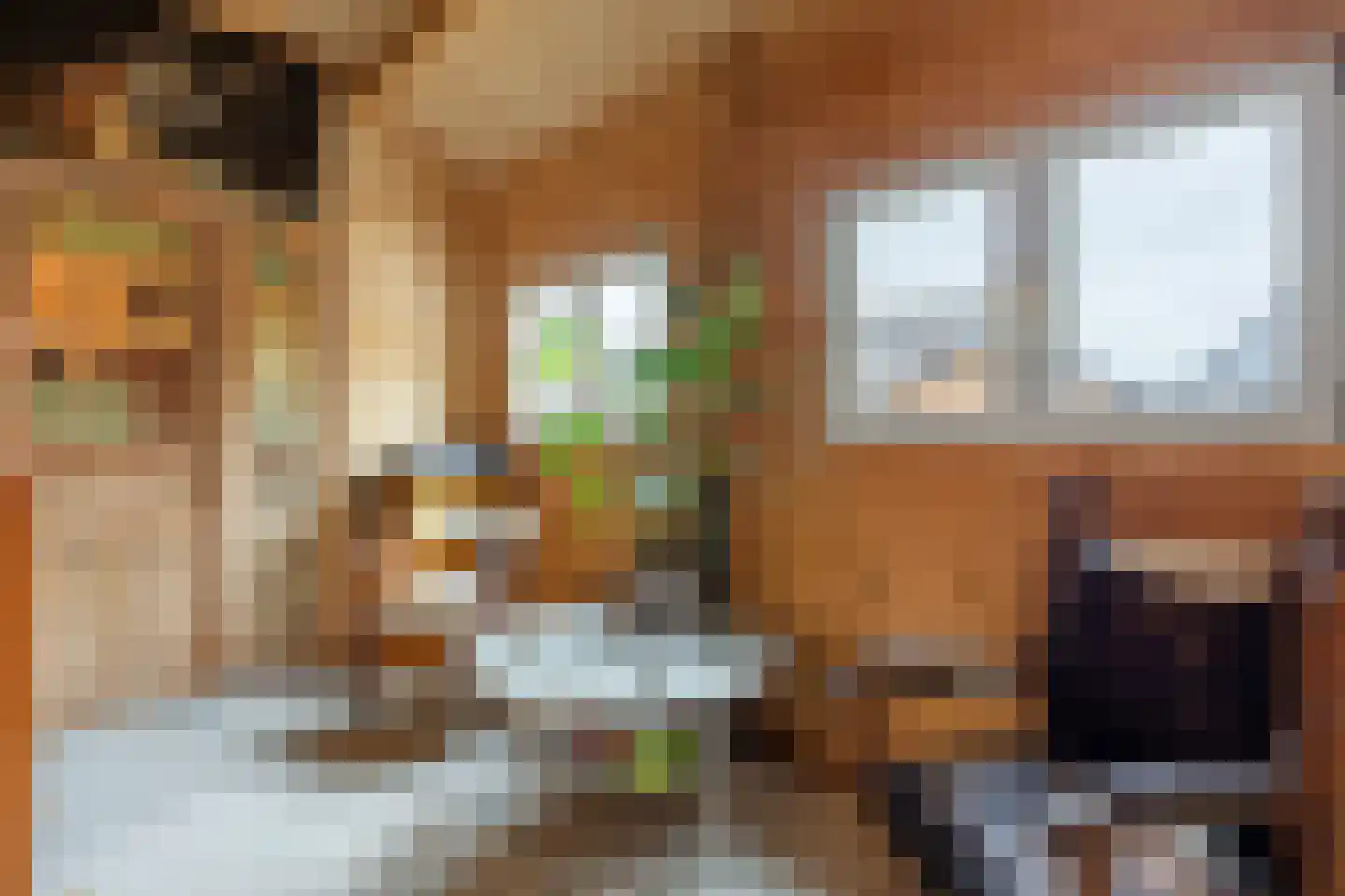 Havenstraat 6 Zoutkamp thumbnail 24