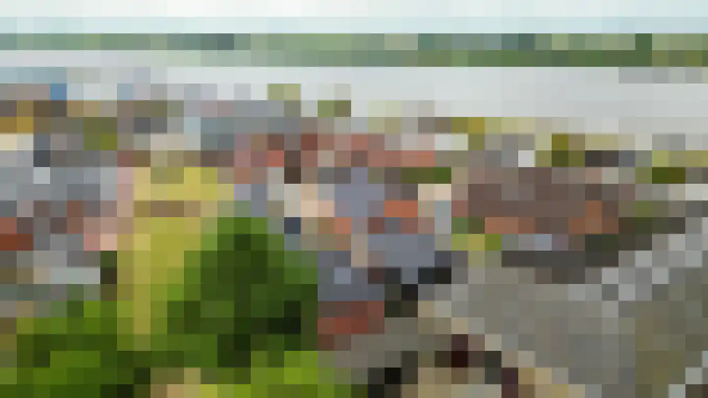 Havenstraat 6 Zoutkamp thumbnail 6