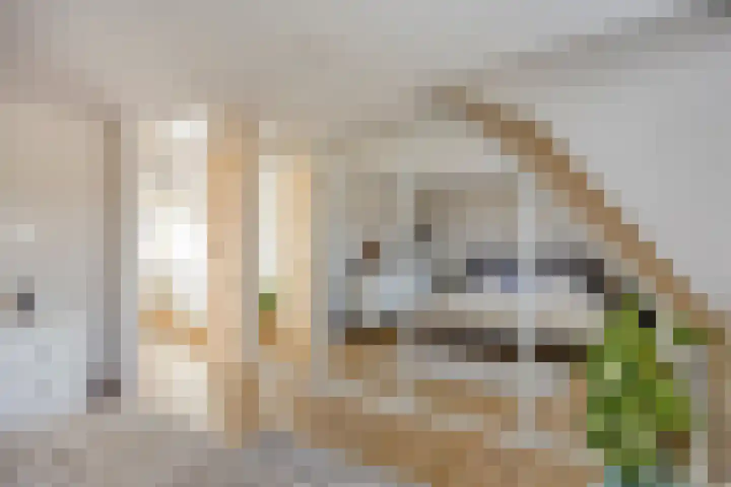 Havenstraat 60 Hillegom thumbnail 24