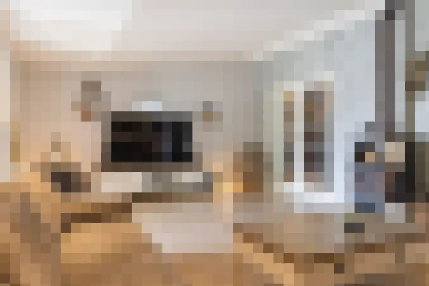 Havenstraat 64 Erica thumbnail 11
