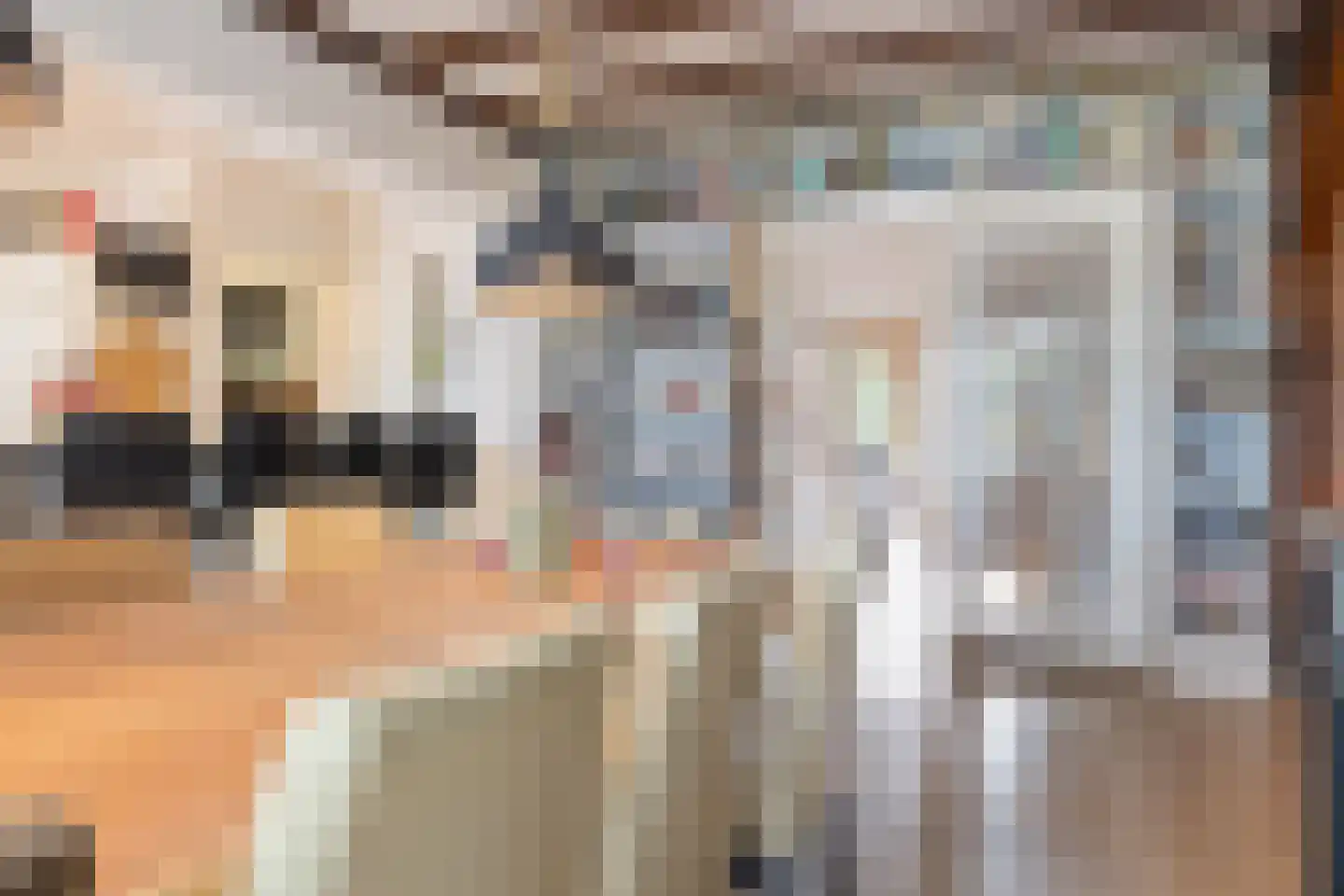 Havenstraat 64 Erica thumbnail 15