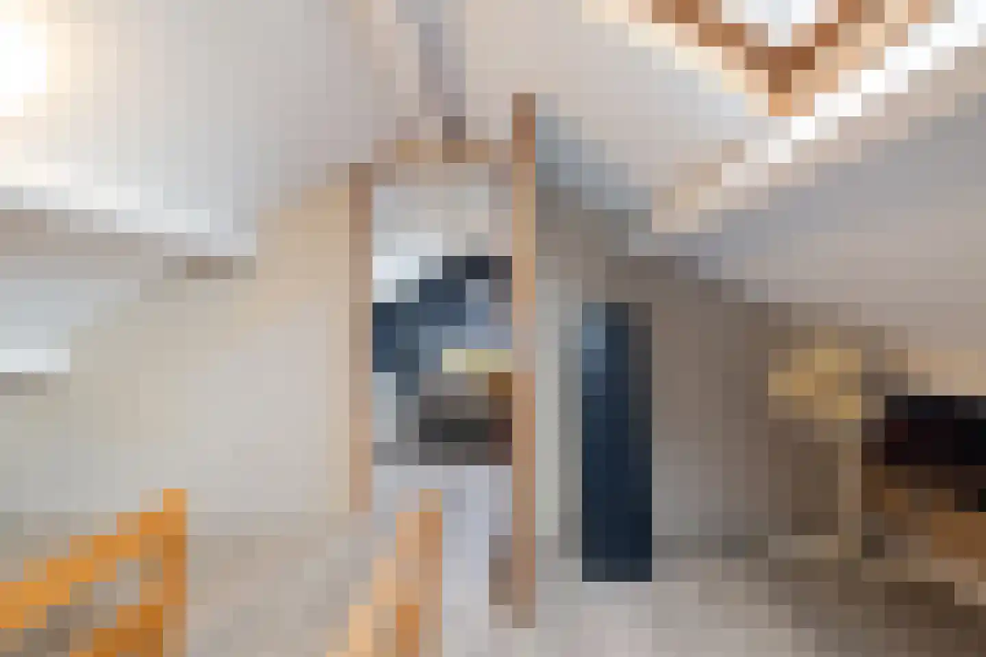 Havenstraat 64 Erica thumbnail 34