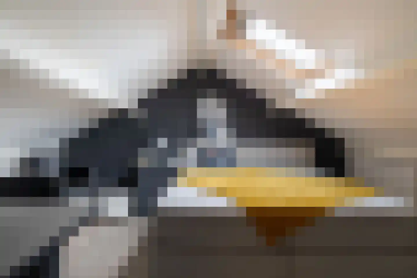 Havenstraat 64 Erica thumbnail 37