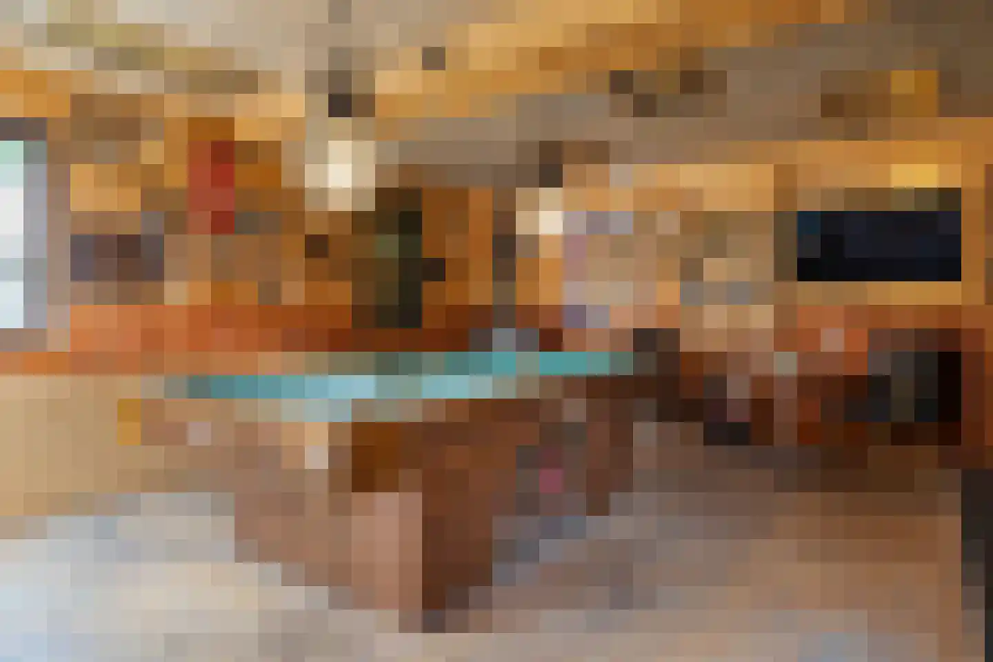 Havenstraat 64 Erica thumbnail 5
