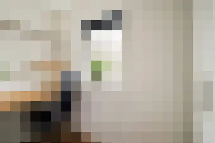 Havenstraat 73 Zaandam thumbnail 36