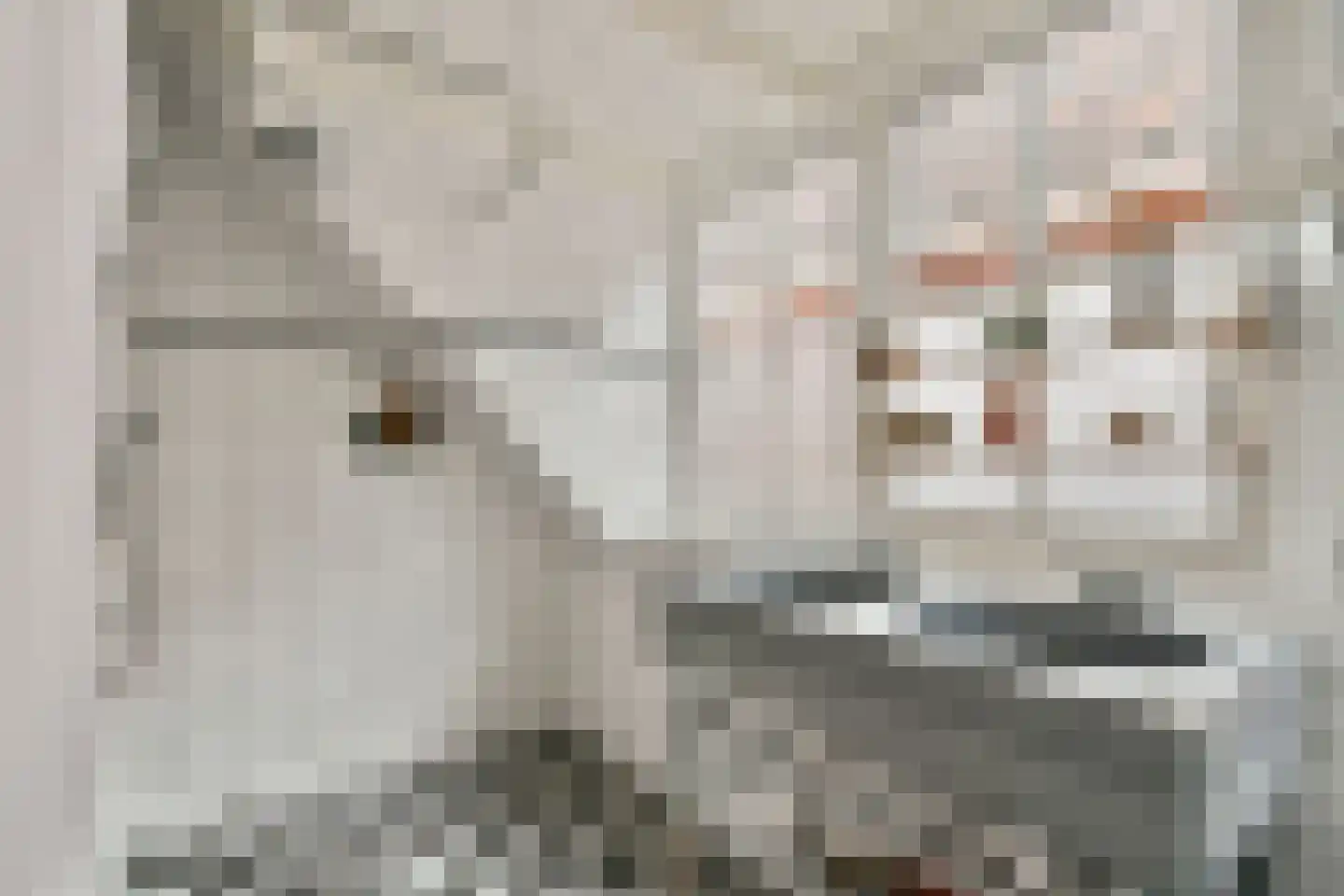 Havenstraat 8 Monnickendam thumbnail 23