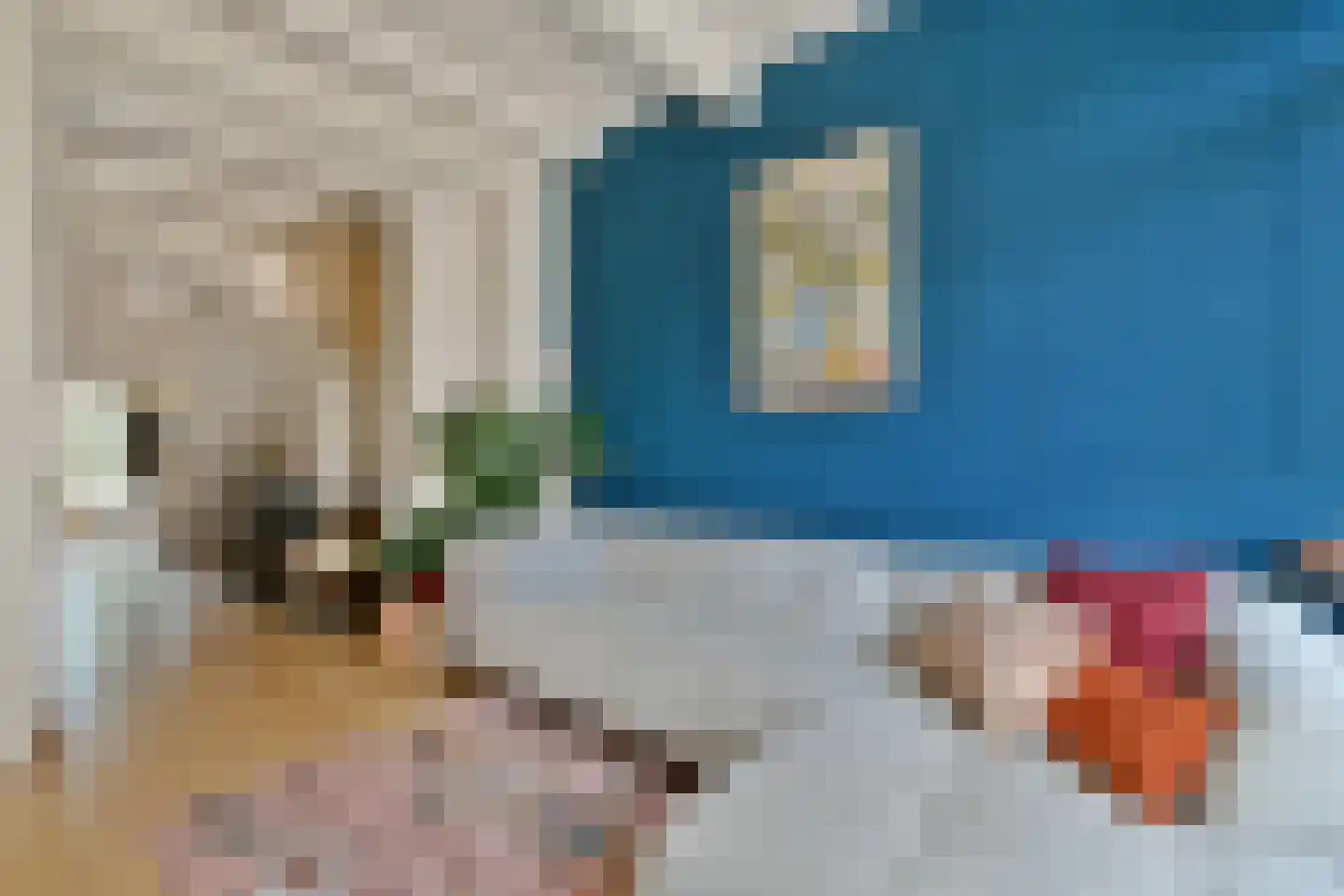Havenstraat 8 Monnickendam thumbnail 6