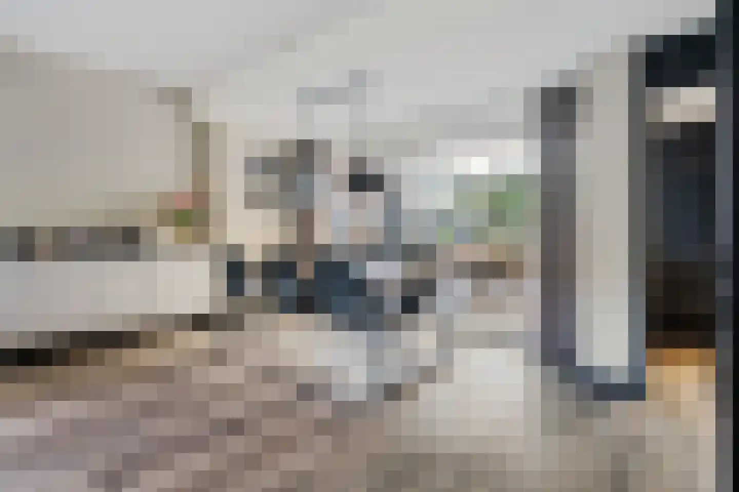 Havenstraat 80 Ter Apel thumbnail 12