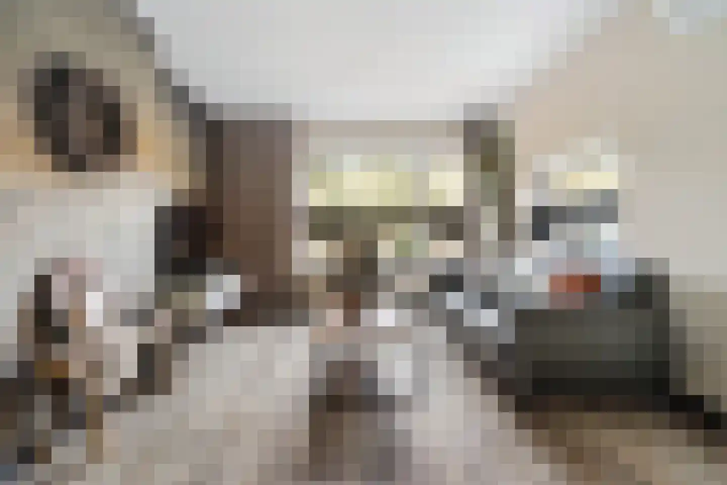 Havenstraat 80 Ter Apel thumbnail 15