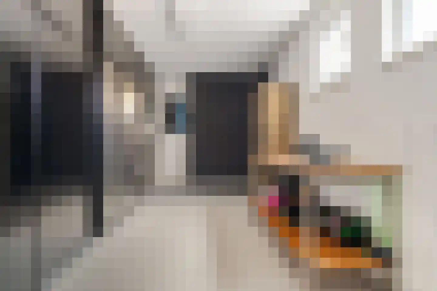 Havenstraat 80 Ter Apel thumbnail 29