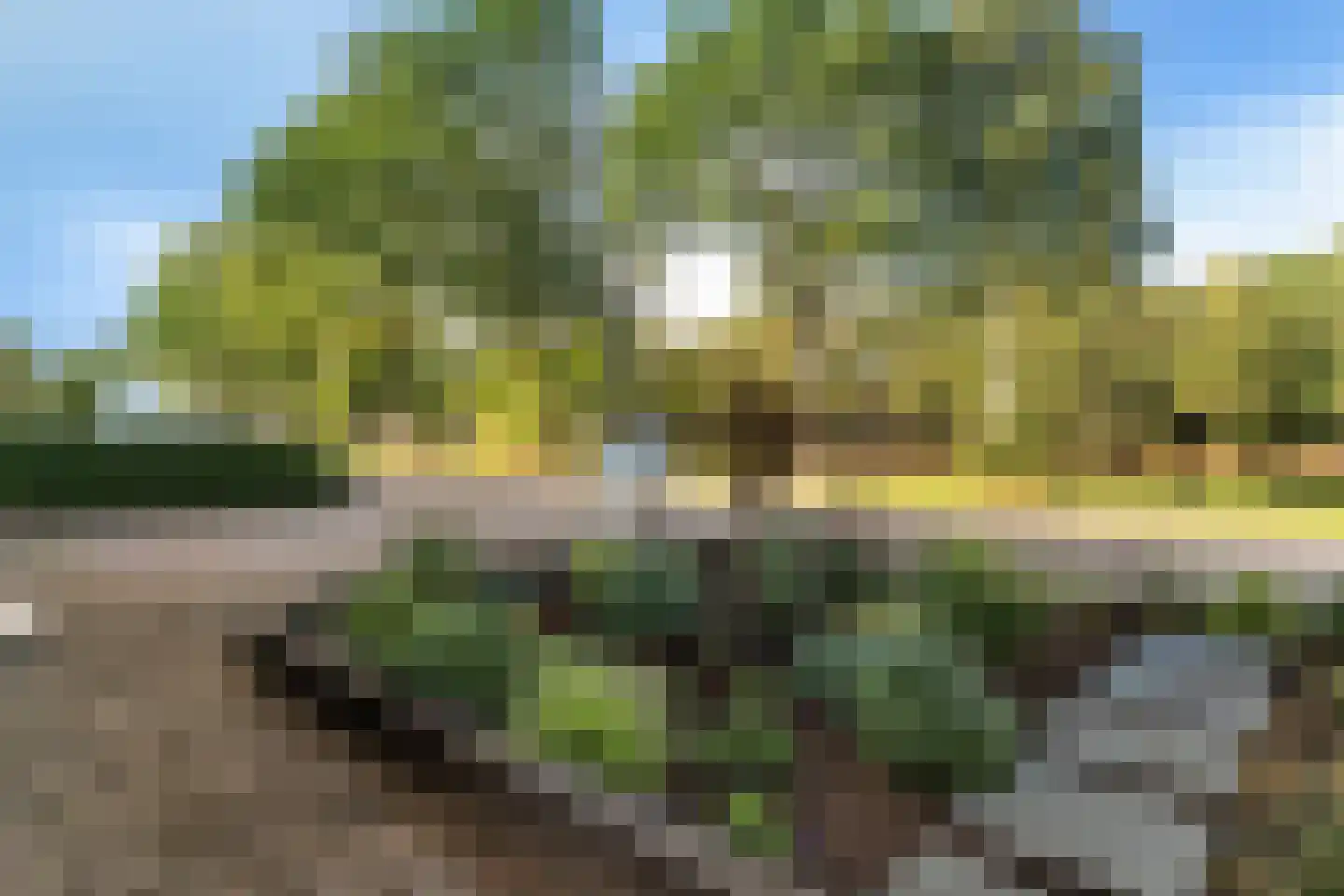 Havenstraat 80 Ter Apel thumbnail 5
