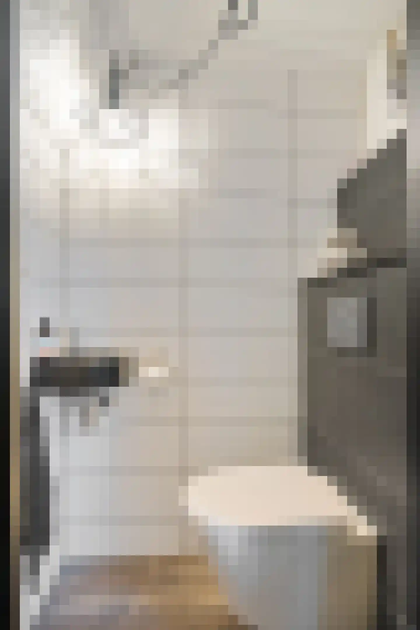 Havenstraat 80 Ter Apel thumbnail 8