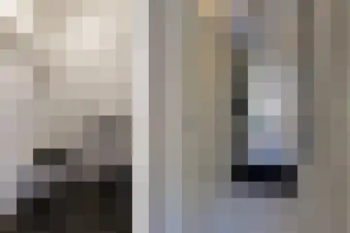 Havenstraat 83 Berkel en Rodenrijs thumbnail 7