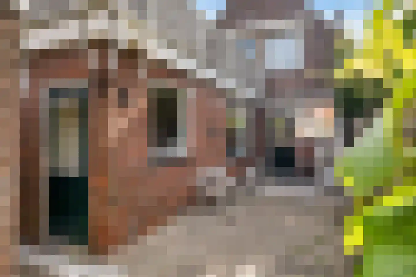 Havenstraat 9 Monnickendam thumbnail 4