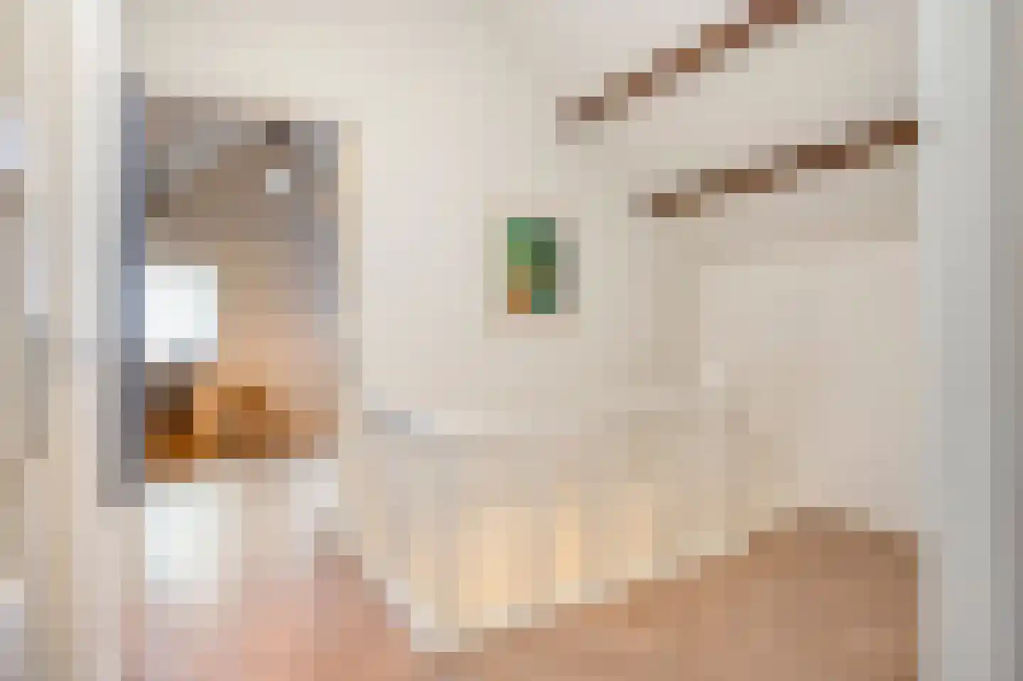 Havenstraat 9 Urmond thumbnail 32