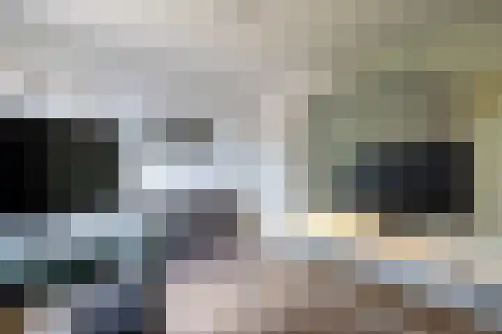 Havenstraat 9 Urmond thumbnail 36