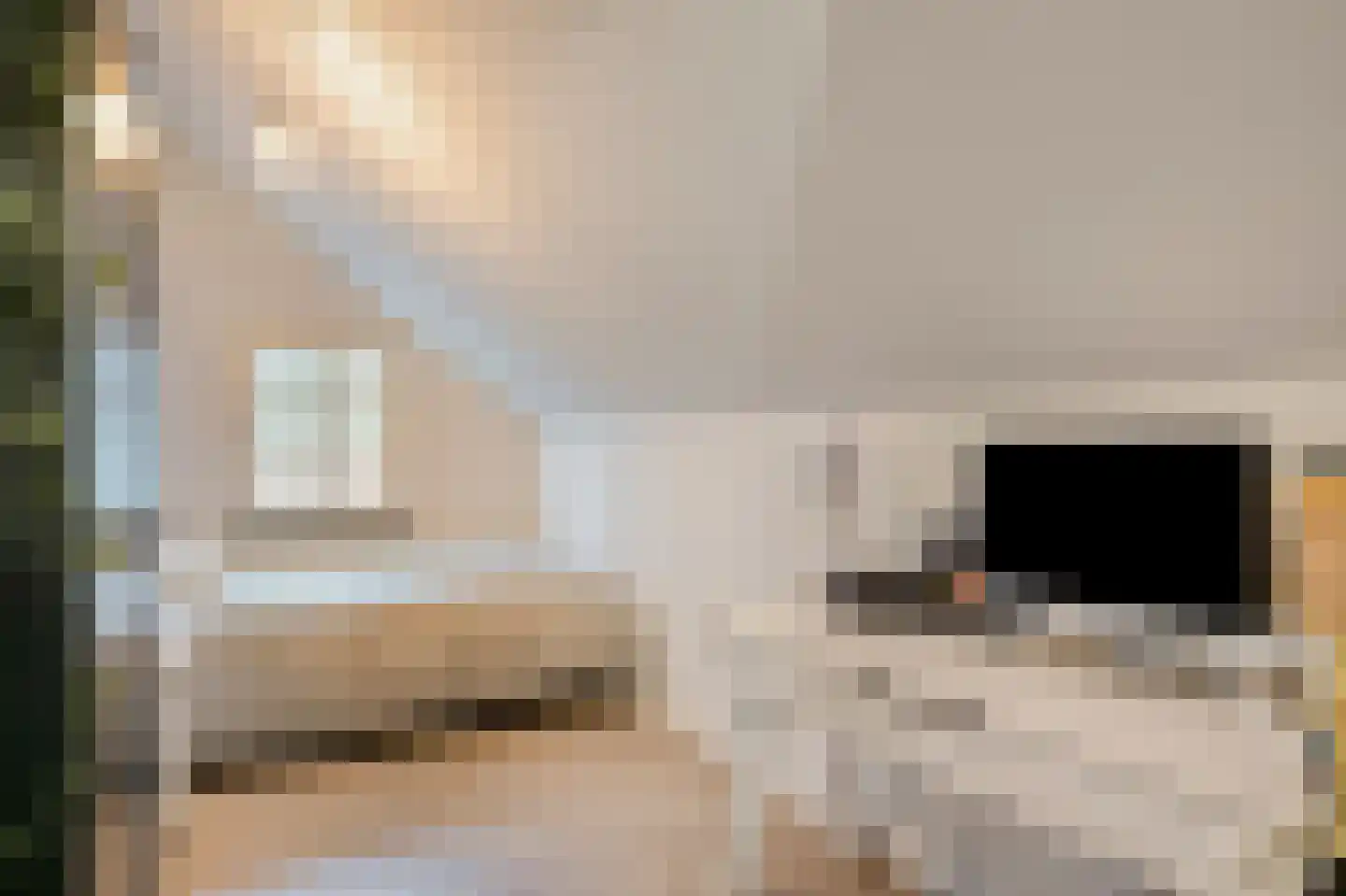 Havenstraat 9 Urmond thumbnail 38