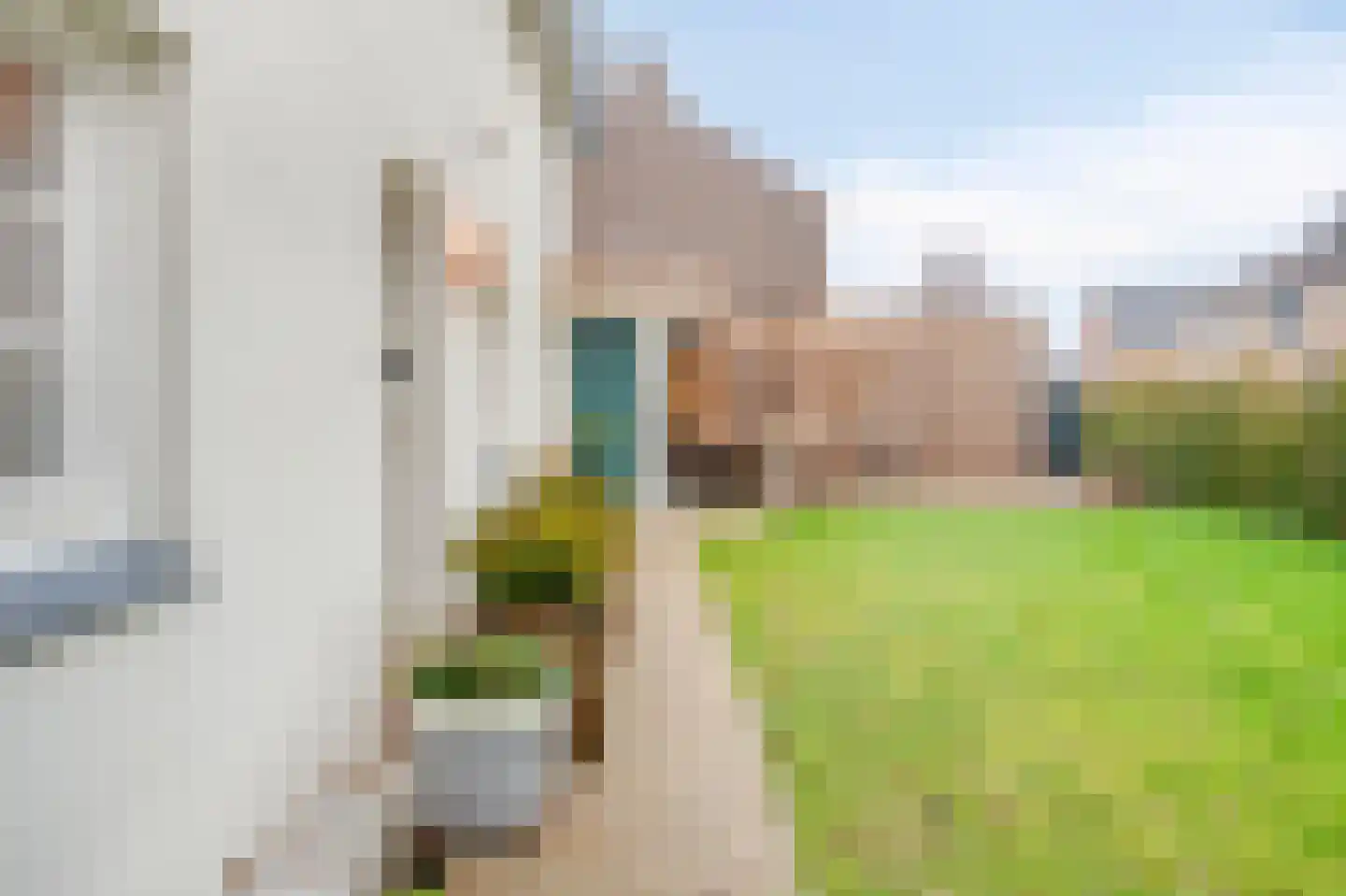 Havenstraat 9 Urmond thumbnail 8