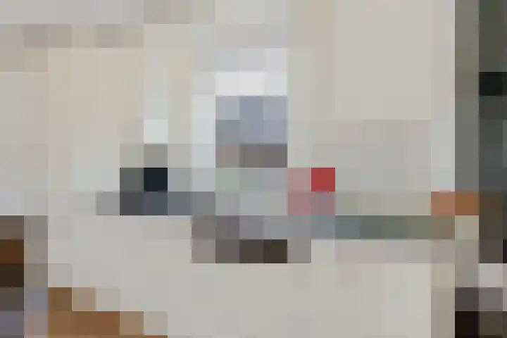 Havenstraat 92 Erica thumbnail 13