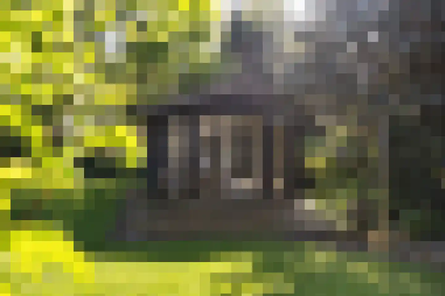 Havenstraat 92 Erica thumbnail 32