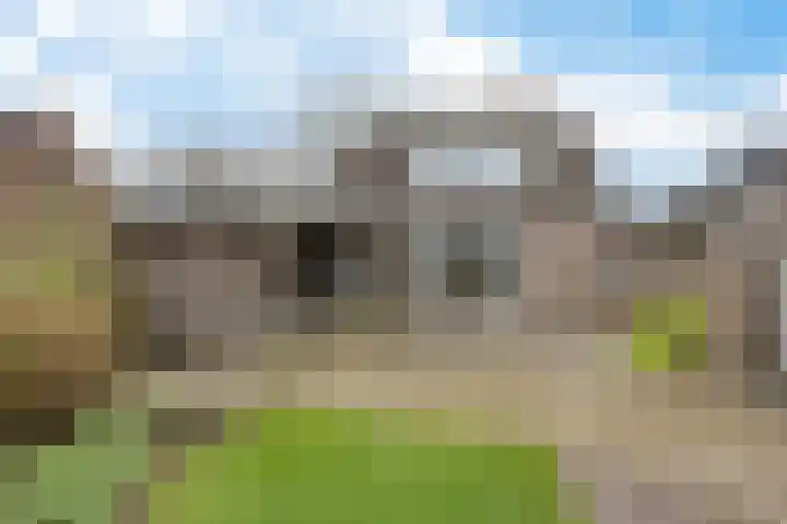 Havenstraat 92 Erica thumbnail 34