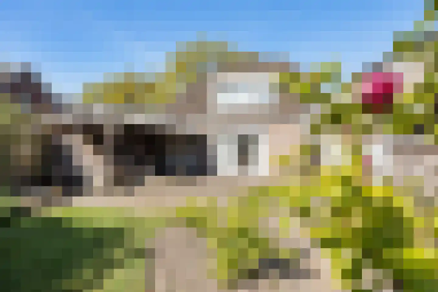Havenstraat 92 Erica thumbnail 37