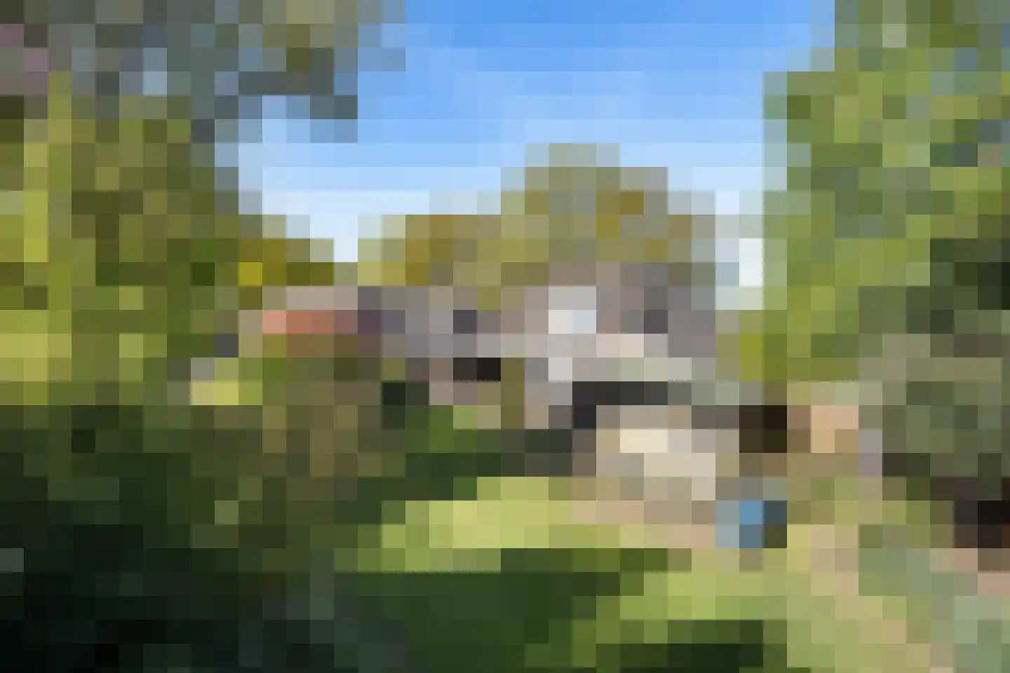 Havenstraat 92 Erica thumbnail 38