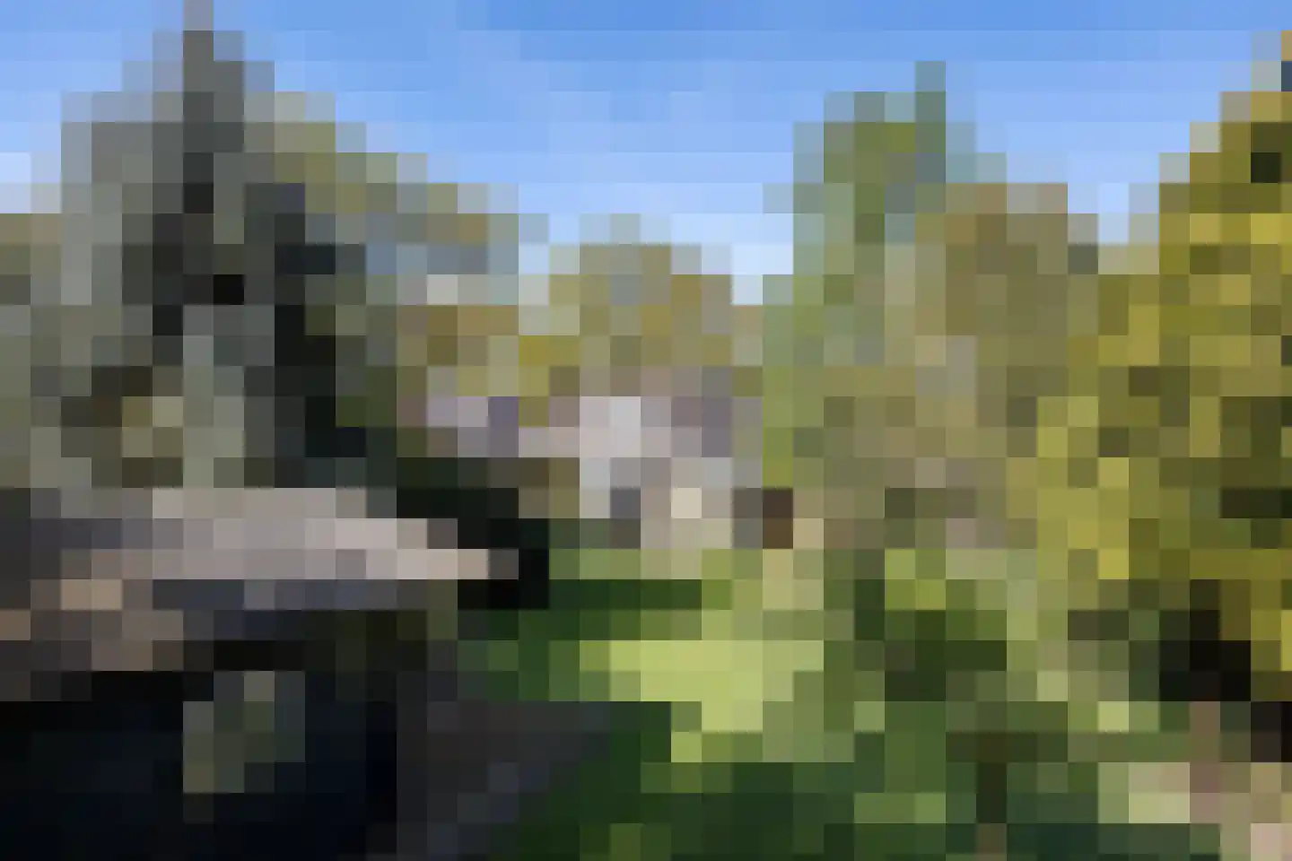 Havenstraat 92 Erica thumbnail 39
