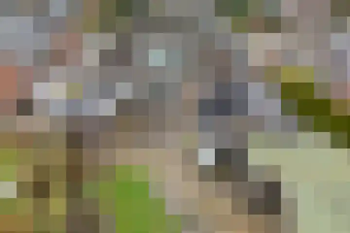 Havenstraat 92 Erica thumbnail 39
