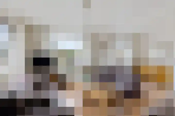 Havenstraat 92 Erica thumbnail 8