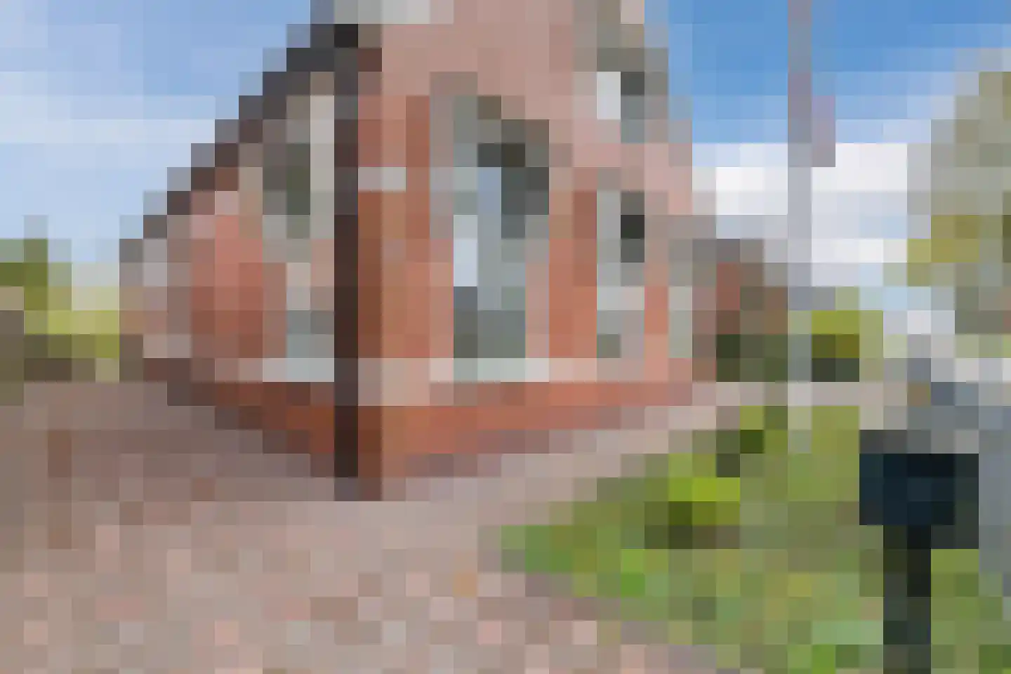 Havenstraat 94 Noordbroek foto 3