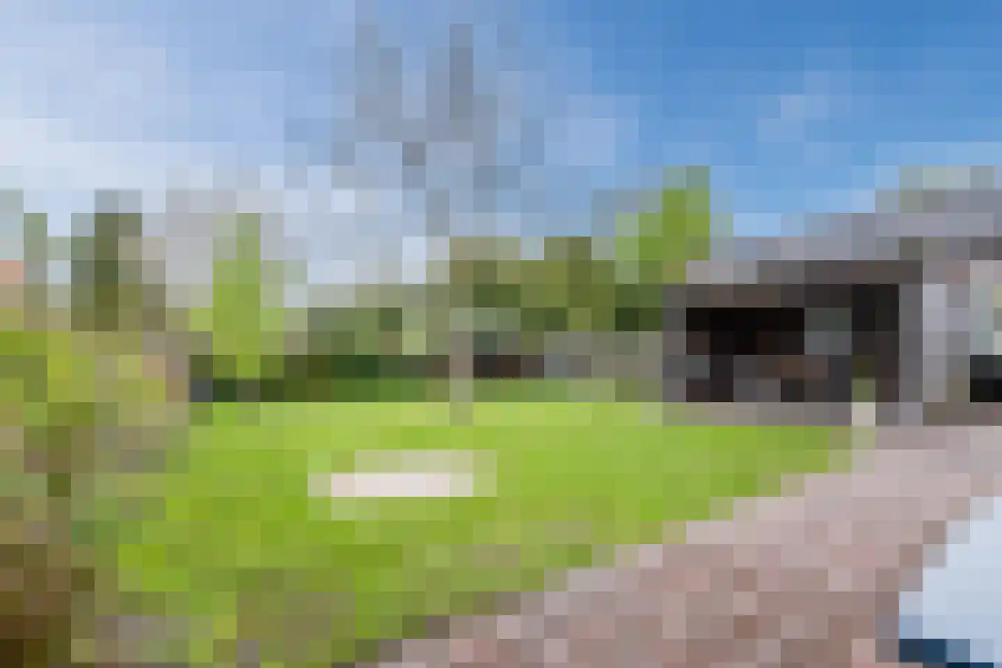 Havenstraat 94 Noordbroek thumbnail 38